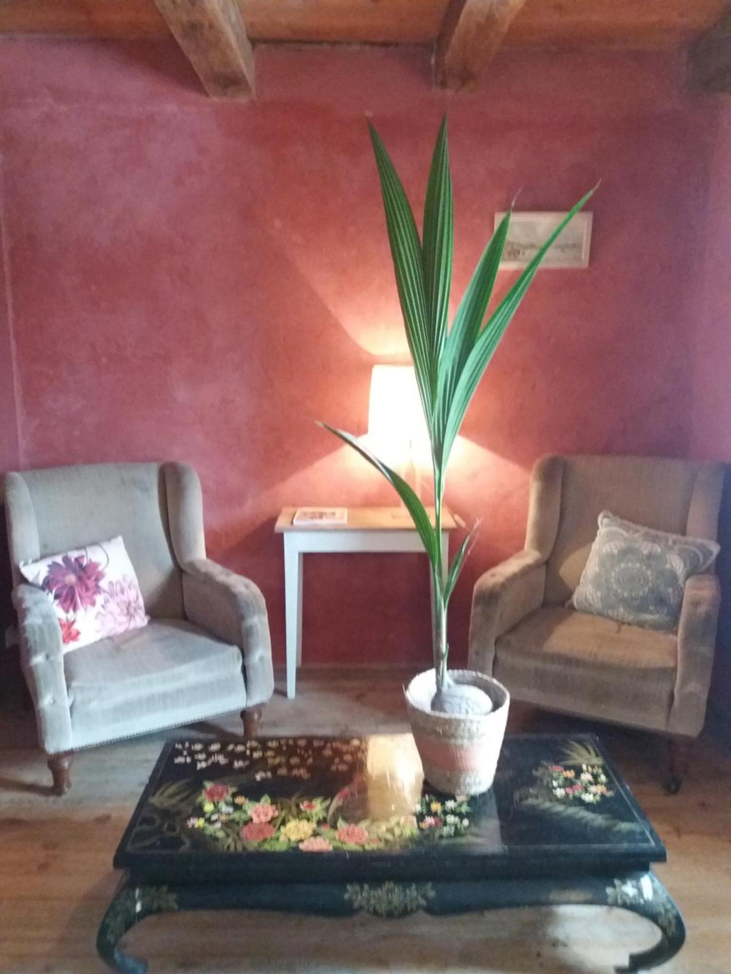 Hotel Domaine D'Angel-Berg Vezins-de-Levezou Pokoj fotografie